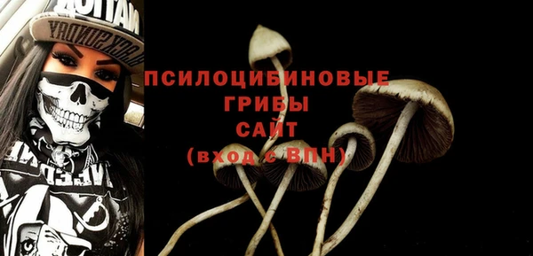 прущие крисы Алексин
