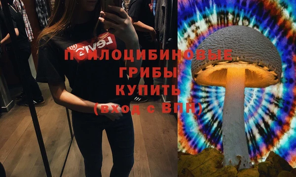 прущие крисы Алексин