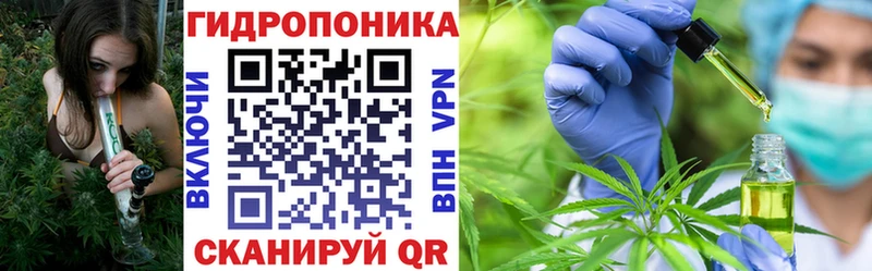 Шишки марихуана THC 21%  Могоча 